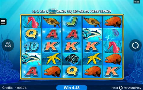 dolphin coast online spielen|Dolphin Coast Slot Machine 2024 .